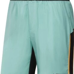 Adidas TERREX Primeblue Short de randonnée Homme, noir