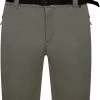 Dare 2b Tuned In Short Pro Homme, gris