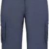 Icepeak Ardoch Short cargo Homme, beige -Pantalons Homme Soldes icepeak ardoch cargo shorts men dark blue 1