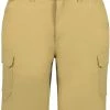Icepeak Braswell Short stretch Homme, beige 1 Icepeak Braswell Short stretch Homme, beige -Pantalons Homme Soldes icepeak braswell stretch shorts men amber 1