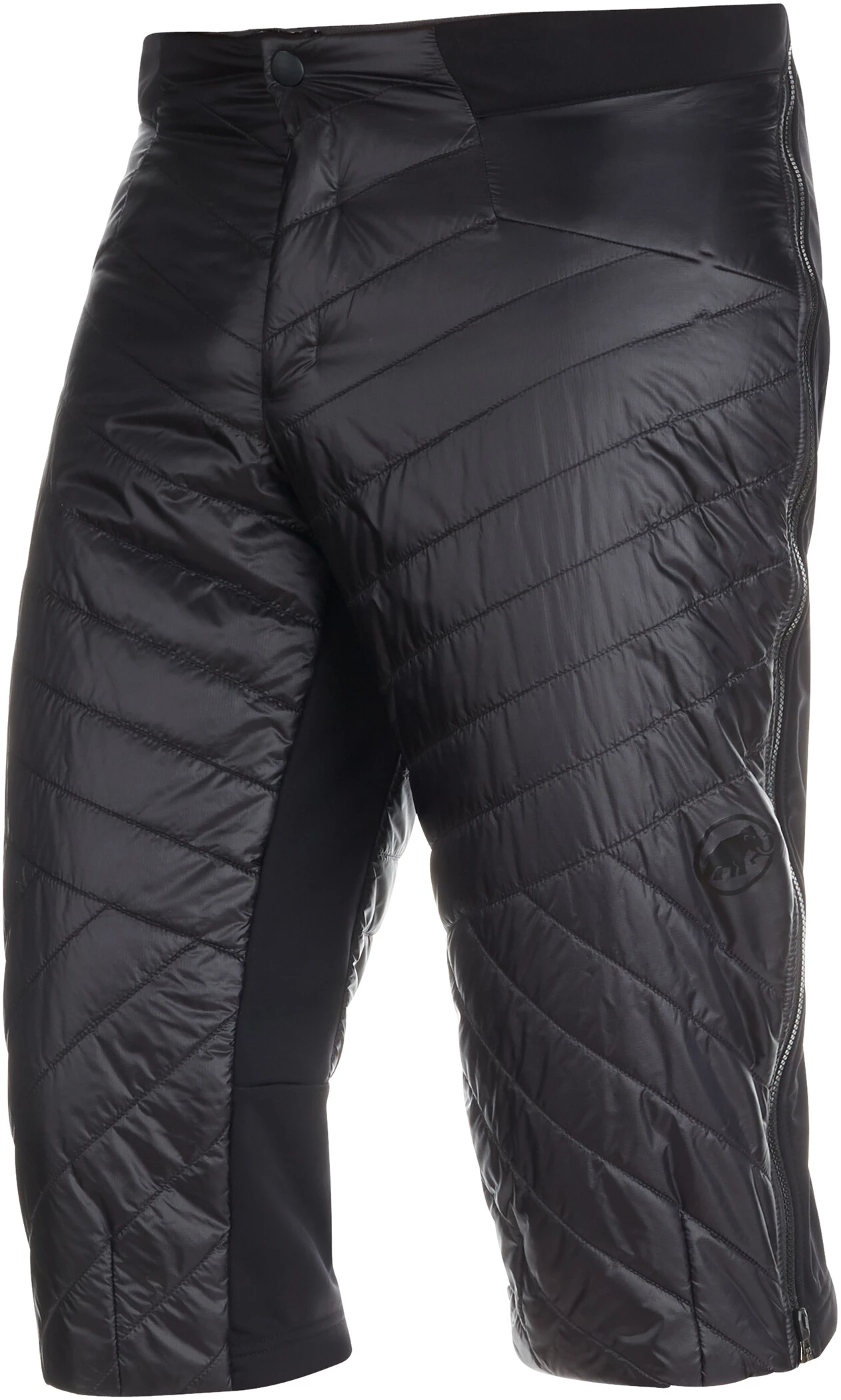 Mammut Aenergy IN Short Homme, noir 3 Mammut Aenergy IN Short Homme, noir