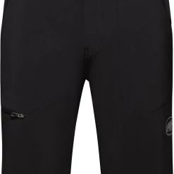 Mammut Runbold Short Homme, gris