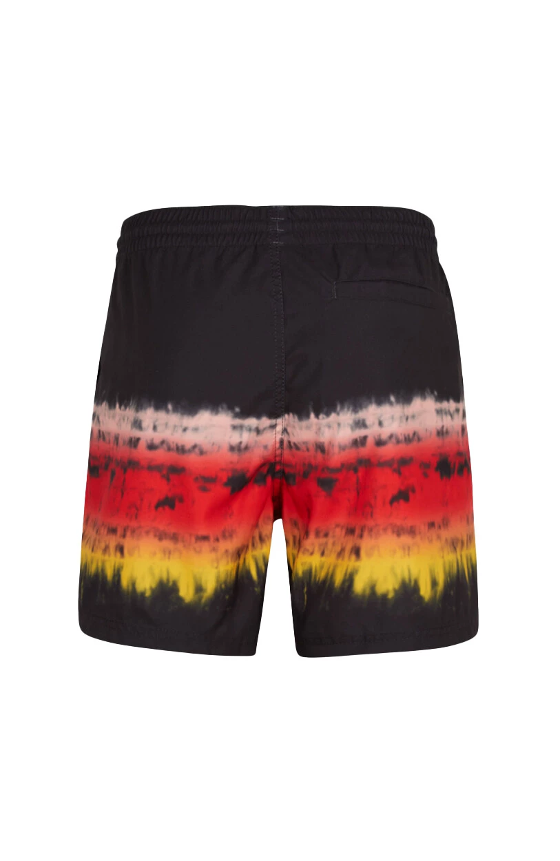 O'Neill Horizon Shorts Men, noir/Multicolore 4 O'Neill Horizon Shorts Men, noir/Multicolore - Image 2
