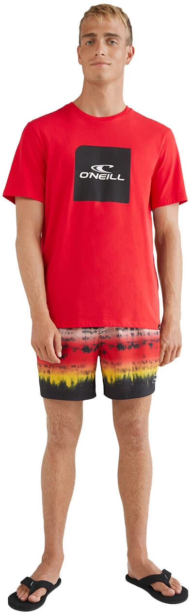 O'Neill Horizon Shorts Men, noir/Multicolore 7 O'Neill Horizon Shorts Men, noir/Multicolore - Image 5