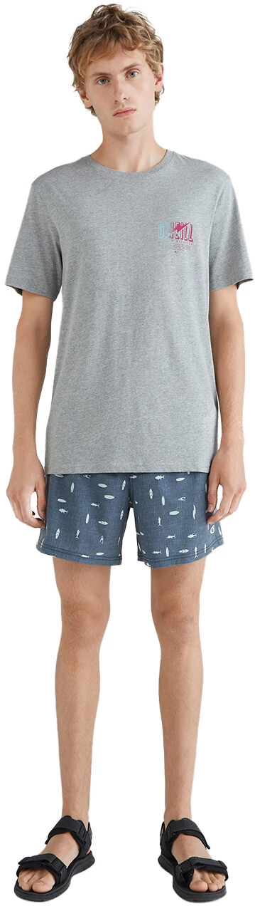 O'Neill Mini Print Shorts Men, bleu 7 O'Neill Mini Print Shorts Men, bleu - Image 5