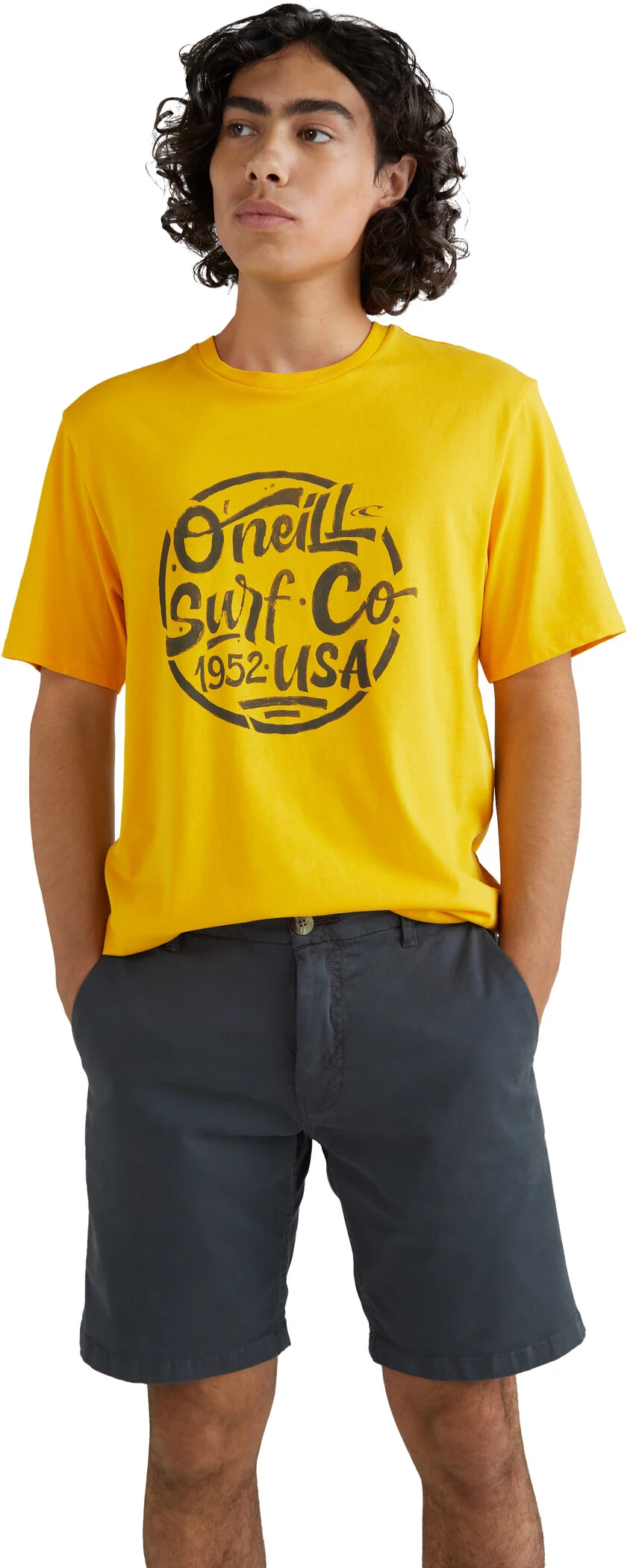 O'Neill Vaca Short Chino Homme, gris 5 O'Neill Vaca Short Chino Homme, gris - Image 3