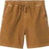 Prana Canyon Camp Short Homme, marron
