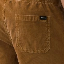 Prana Canyon Camp Short Homme, marron -Pantalons Homme Soldes prana canyon camp shorts men earthbound 5