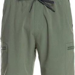 Quiksilver Elastic Cargo 19 Short Amphibien Homme, olive