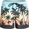 Quiksilver Everyday Paradise 15 Volley Shorts Men, bleu -Pantalons Homme Soldes quiksilver everyday paradise 15 volley shorts men angel blue 1