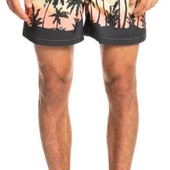 Quiksilver Everyday Paradise 15 Volley Shorts Men, bleu 8 Quiksilver Everyday Paradise 15 Volley Shorts Men, bleu -Pantalons Homme Soldes quiksilver everyday paradise 15 volley shorts men angel blue 2