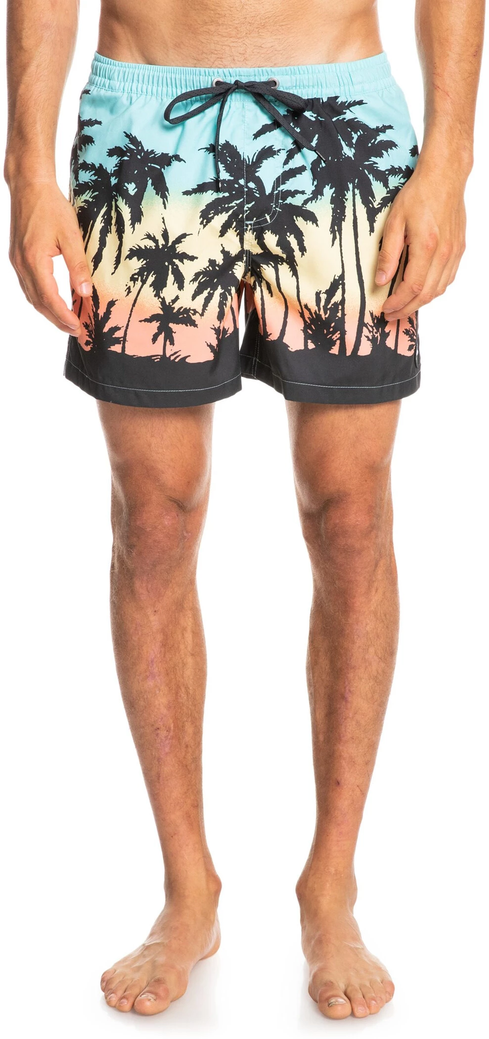 Quiksilver Everyday Paradise 15 Volley Shorts Men, bleu 4 Quiksilver Everyday Paradise 15 Volley Shorts Men, bleu - Image 2