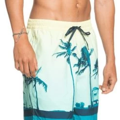 Quiksilver Paradise Volley 17 Shorts Men, Multicolore -Pantalons Homme Soldes quiksilver paradise volley 17 shorts men charlock 4