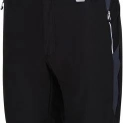 Regatta Mountain II Short Homme, gris