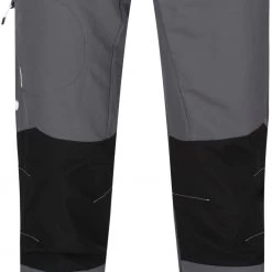Regatta Sungari II Pantalon Homme, gris/noir