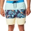 Rip Curl Blocking Semi Elastic Boardshorts Men, Multicolore -Pantalons Homme Soldes rip curl blocking semi elastic boardshorts men washed aqua 1