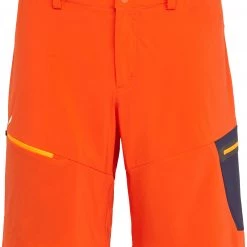 SALEWA Pedroc Cargo 2 Durastretch Short Homme, bleu
