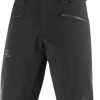 Salomon Force Pantalon Homme, bleu