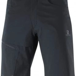Salomon Wayfarer Short Homme, noir