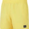 Speedo Prime Leisure 16" Watershorts Men, bleu -Pantalons Homme Soldes speedo prime leisure 16 watershorts men empire yellow 1
