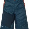 VAUDE Sesvenna III Short Homme, noir -Pantalons Homme Soldes vaude sesvenna iii shorts men baltic sea 1 1